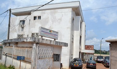 Cameroun-Baccalauréat 2021 : les diplômes sont disponibles