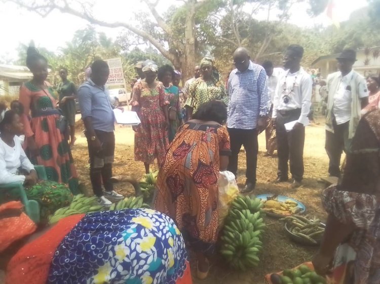 Commune d'Ebolowa 1    Le Maire Joël Emmanuel Bitoumou et le village Afanengong Yevol jusqu'à la gare !