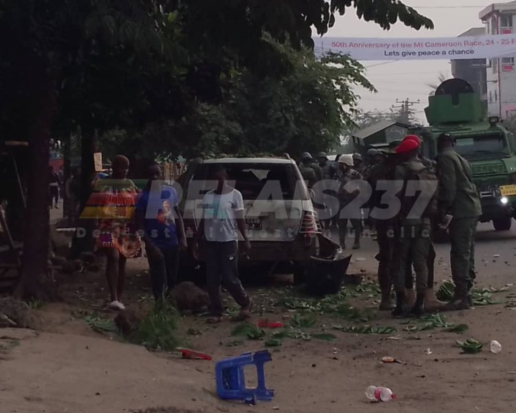 ASCENSION DU MONT CAMEROUN : 3 EXPLOSIONS FONT PANIQUER BUÉA