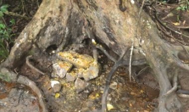 TRADITION : TOUT SAVOIR SUR LE "NTCHEUP" (POISON) EN PAYS BAMILEKE