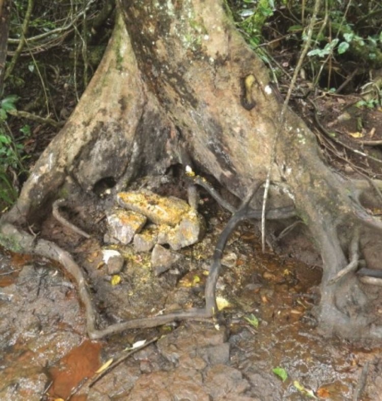 TRADITION : TOUT SAVOIR SUR LE "NTCHEUP" (POISON) EN PAYS BAMILEKE