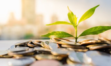 Cameroun : La fiscalité verte coercitive est inefficace et non pertinente