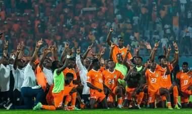 CAN 2024: DES ÉLÉPHANTS;DE L'ENFER AU PARADIS