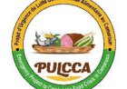 Crise au MINADER : Enquêteurs du PULCCA abandonnés après une mission périlleuse