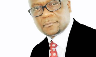 L’ANNULATION DES GRANDS TITRES FONCIERS AU CAMEROUN : QUE DEVIENNENT LES TITRES ISSUS DU MORCELLEMENT ?