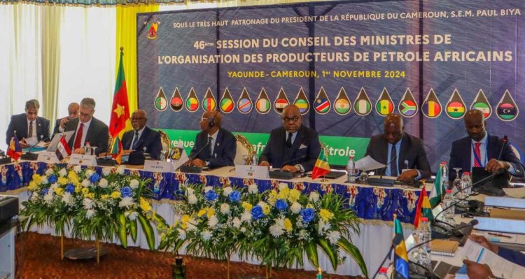 Hydrocarbures : une institution financière pour accompagner les producteurs africains