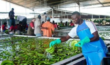 Économie :Une dette de 36 milliards de francs CFA pour l'état du Cameroun