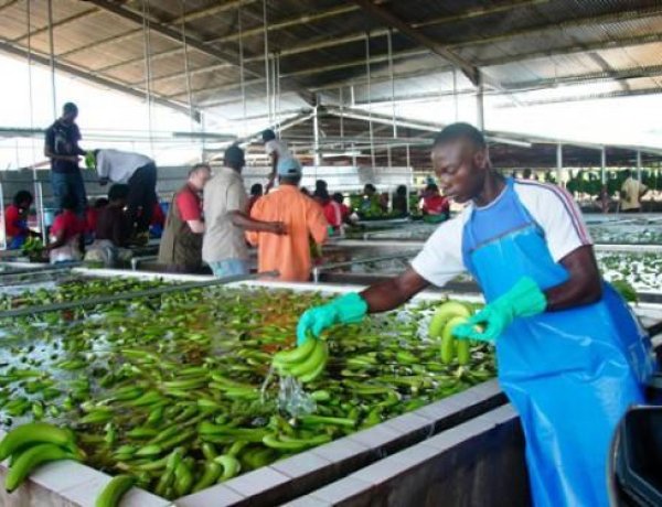 Économie :Une dette de 36 milliards de francs CFA pour l'état du Cameroun