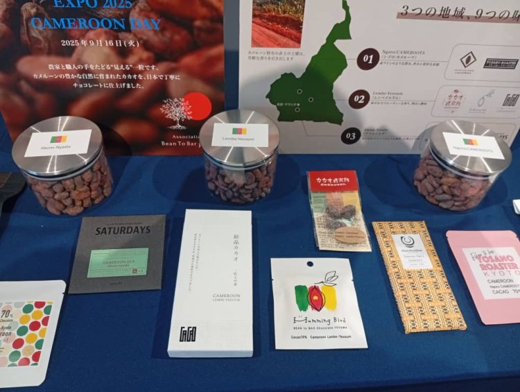 Le cacao du Cameroun séduit le Japon à l'Expo 2025 Osaka