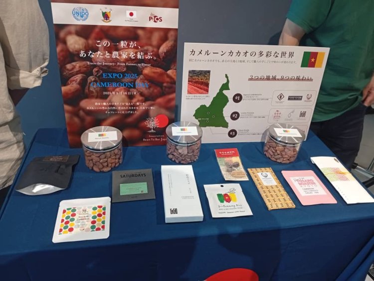 Le cacao du Cameroun séduit le Japon à l'Expo 2025 Osaka
