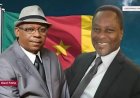 Cameroun : Le chant du cygne ou le début de la fin.