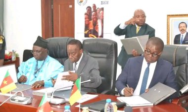 Le MINESUP lance un régime d’assurance maladie pour les étudiants des universités d’État