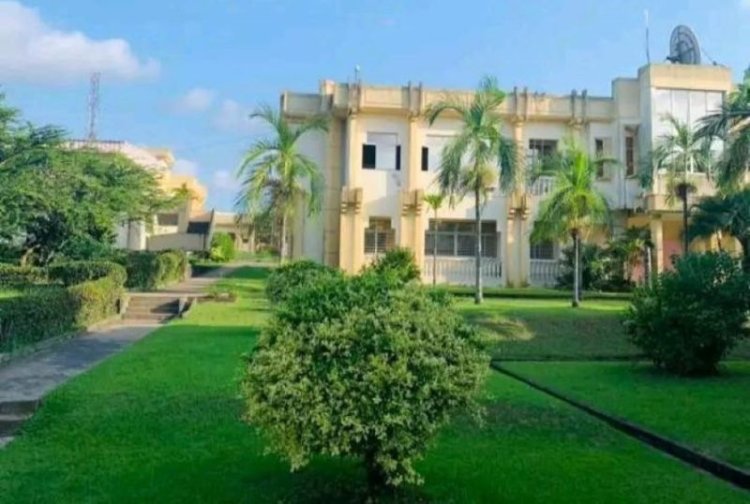 Enseignement supérieur : l’IUT de Douala s’arrime à l’université-entreprise