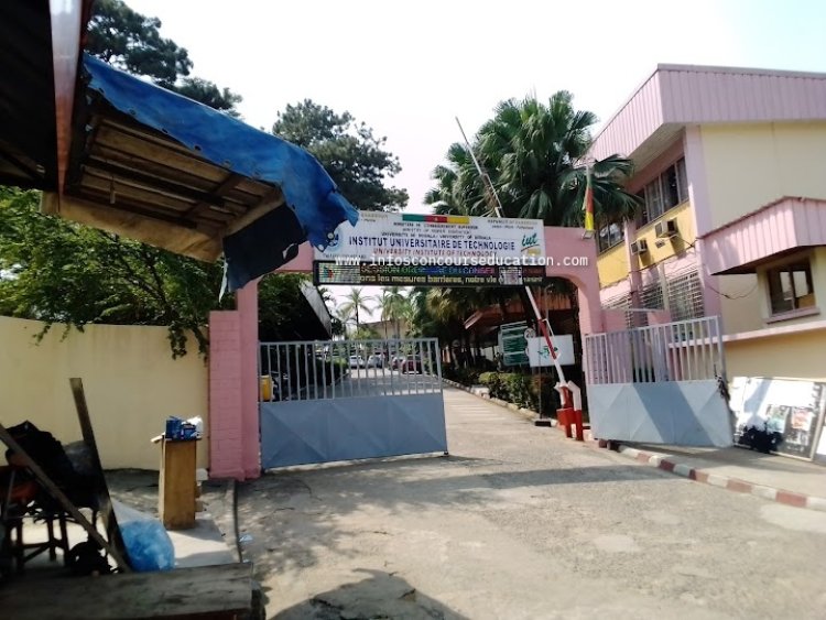 Enseignement supérieur : l’IUT de Douala s’arrime à l’université-entreprise