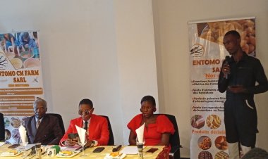 Yaoundé : Le RENJECAM booste l'entrepreneuriat jeune