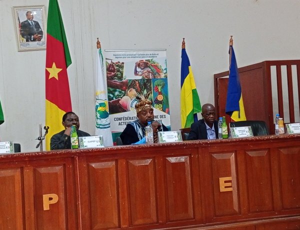 Agriculture : le Cameroun mène l'Afrique centrale à MACFRUT