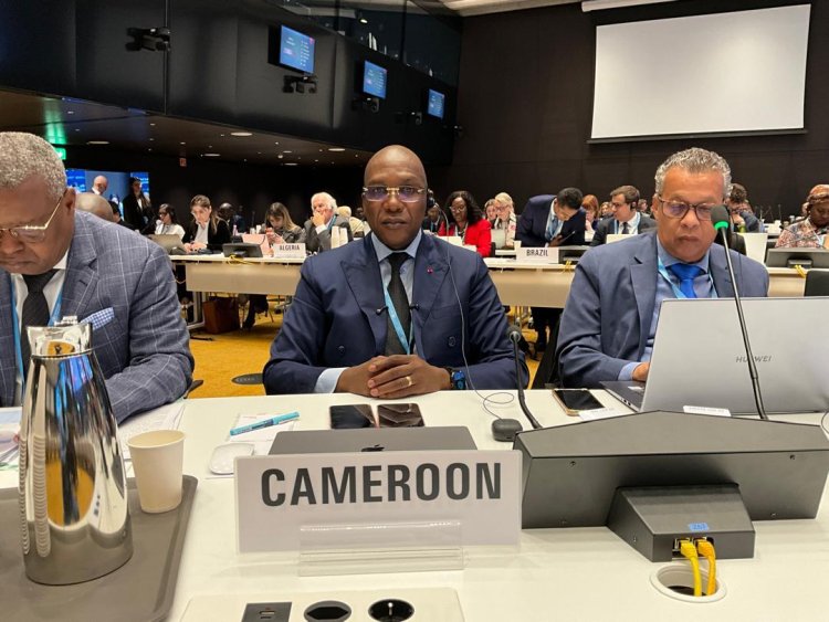 Santé : Le Cameroun au Conseil exécutif de l'OMS à Genève