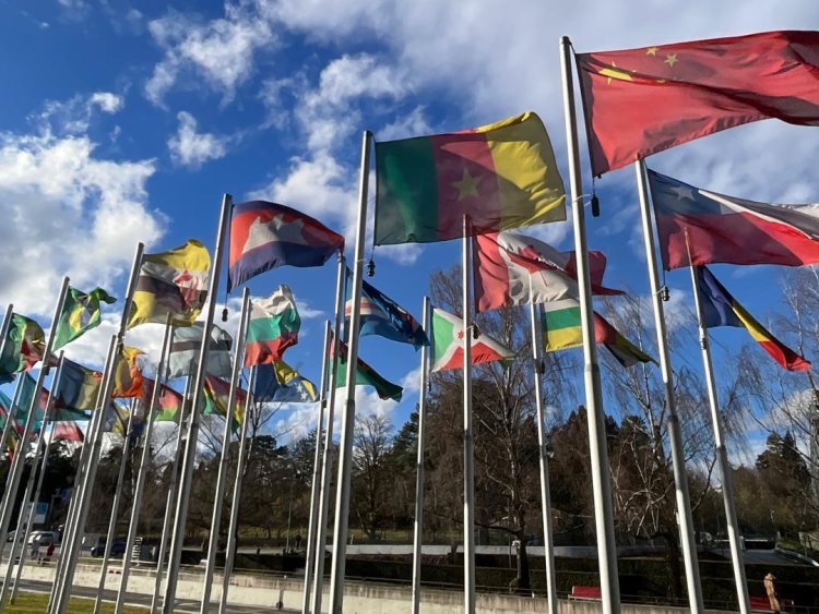 Santé : Le Cameroun au Conseil exécutif de l'OMS à Genève