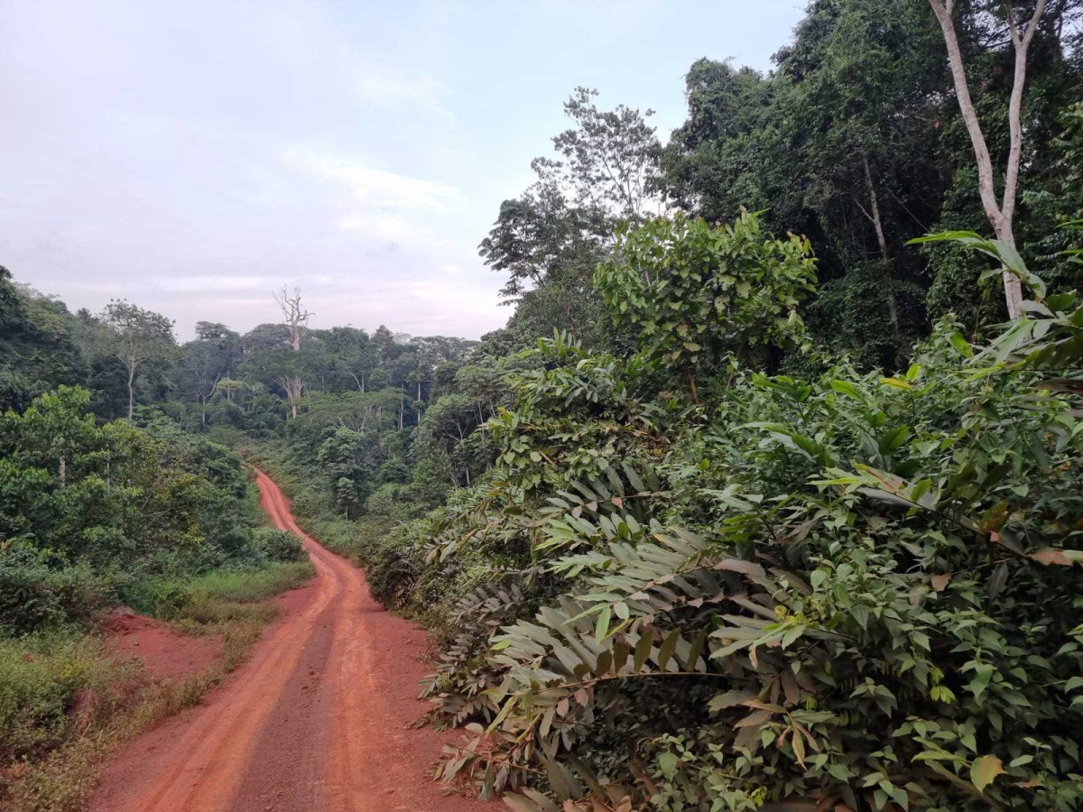 GRAND DOSSIER D'INVESTIGATION EXCLUSIF : SOUVERAINETÉ FONCIÈRE & TRANSPARENCE DES RESSOURCESS NATIONALE ;  ACCÈS AUX TERRES, EXPLOITATION DES RESSOURCES ET DÉFIS SÉCURITAIRES : ENQUÊTE SUR LES CONCESSIONS EXTRACTIVES ET CYNÉGÉTIQUES AU CAMEROUN