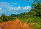 GRAND DOSSIER D'INVESTIGATION EXCLUSIF : SOUVERAINETÉ FONCIÈRE & TRANSPARENCE DES RESSOURCESS NATIONALE ;  ACCÈS AUX TERRES, EXPLOITATION DES RESSOURCES ET DÉFIS SÉCURITAIRES : ENQUÊTE SUR LES CONCESSIONS EXTRACTIVES ET CYNÉGÉTIQUES AU CAMEROUN