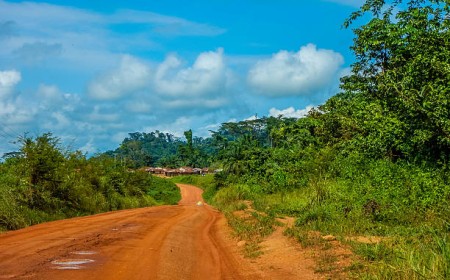 GRAND DOSSIER D'INVESTIGATION EXCLUSIF : SOUVERAINETÉ FONCIÈRE & TRANSPARENCE DES RESSOURCESS NATIONALE ;  ACCÈS AUX TERRES, EXPLOITATION DES RESSOURCES ET DÉFIS SÉCURITAIRES : ENQUÊTE SUR LES CONCESSIONS EXTRACTIVES ET CYNÉGÉTIQUES AU CAMEROUN