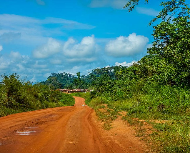 GRAND DOSSIER D'INVESTIGATION EXCLUSIF : SOUVERAINETÉ FONCIÈRE & TRANSPARENCE DES RESSOURCESS NATIONALE ;  ACCÈS AUX TERRES, EXPLOITATION DES RESSOURCES ET DÉFIS SÉCURITAIRES : ENQUÊTE SUR LES CONCESSIONS EXTRACTIVES ET CYNÉGÉTIQUES AU CAMEROUN